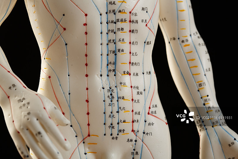 针灸穴位图片素材