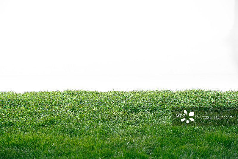 绿色的草皮图片素材