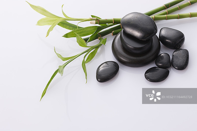 鹅卵石与富贵竹图片素材