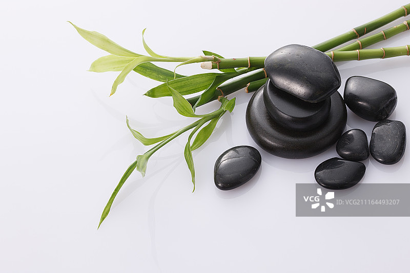 鹅卵石与富贵竹图片素材