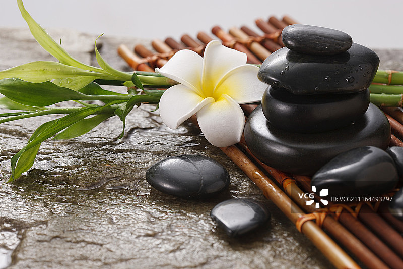 SPA美容图片素材