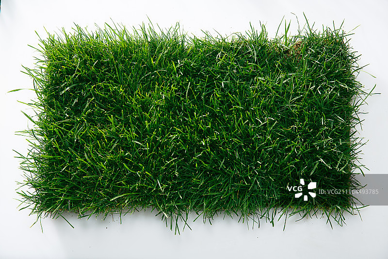 绿色的草皮图片素材