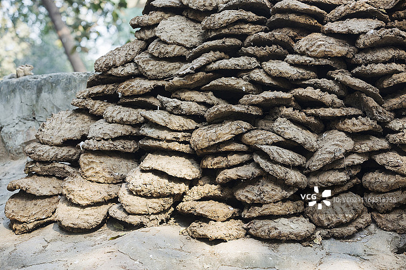 在印度德里用作烹饪燃料的干牛粪图片素材