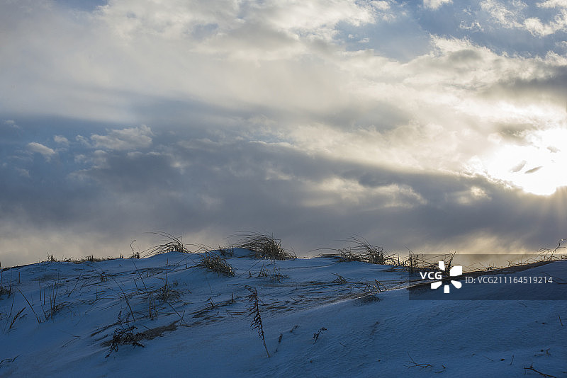 冬季沙丘雪景，位于美国马萨诸塞州图片素材