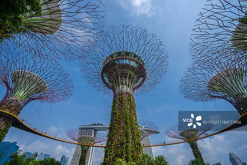 新加坡滨海湾花园图片素材