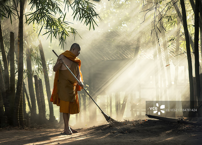 森林里的僧侣肖像图片素材