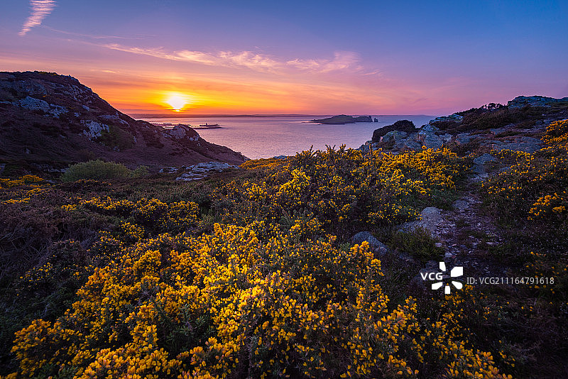 霍斯日落图片素材
