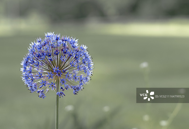 蓝色爆发图片素材