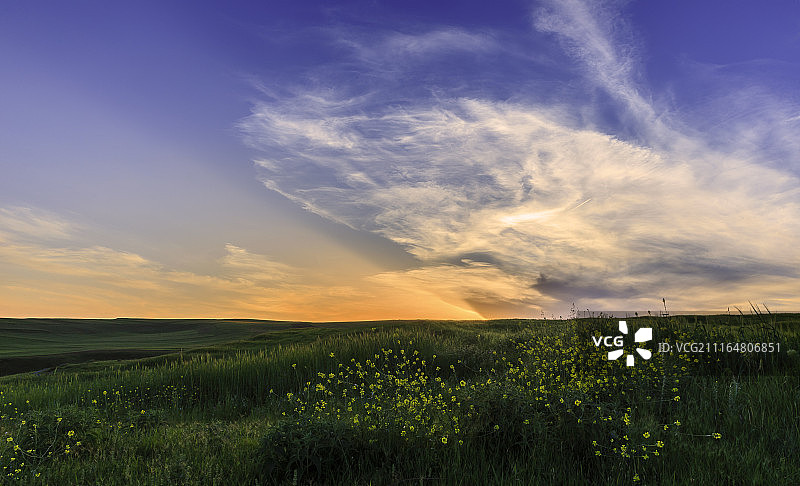 戈布斯坦田野的春天图片素材