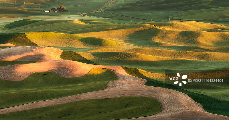 晨光中的帕卢斯丘陵图片素材