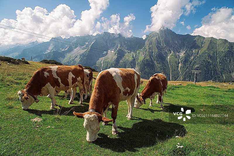 阿霍恩 III图片素材