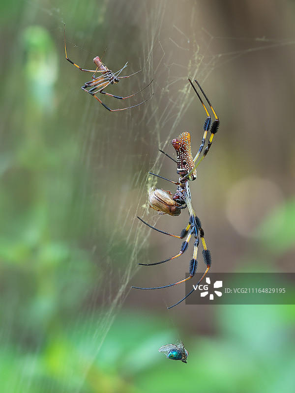 床和桌子图片素材