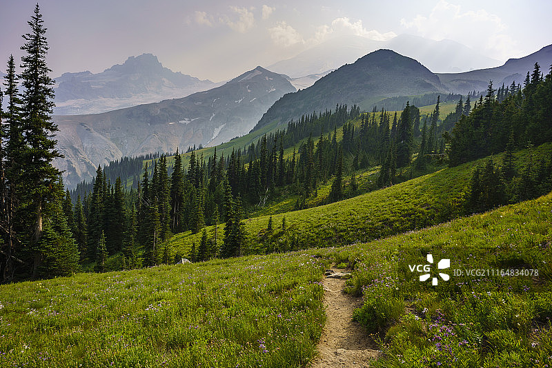 仙境小径上的跳跃图片素材
