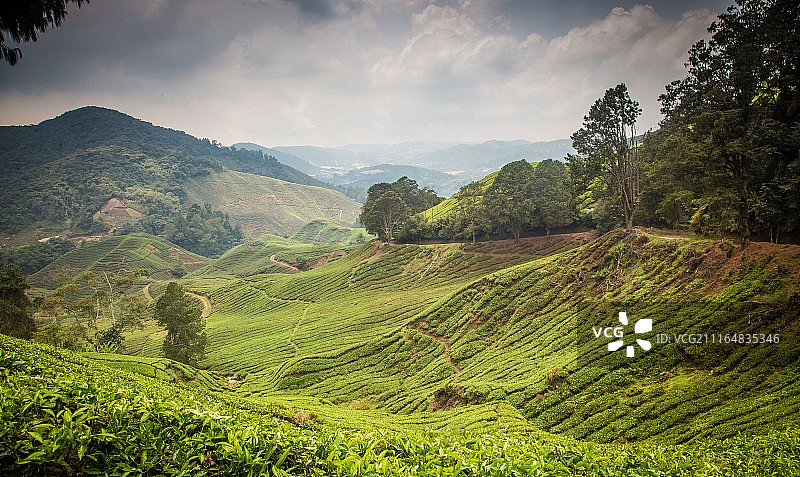 卡梅伦高地图片素材