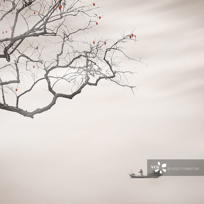 柿子树下的孤舟图片素材