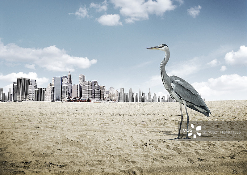 城市中的起重机数字合成图图片素材