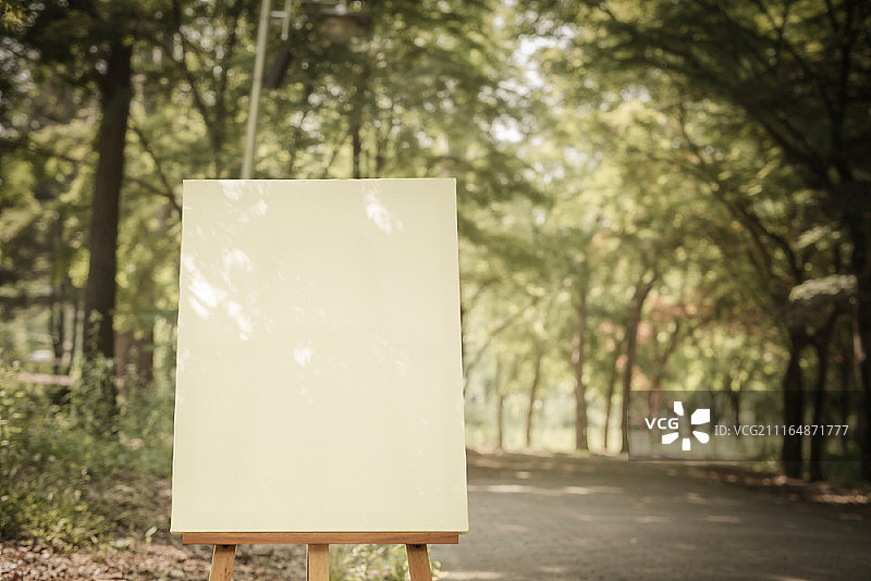 户外画架上的空白画布图片素材