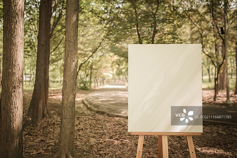 户外画架上的空白画布图片素材
