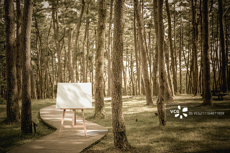 户外画架上的空白画布图片素材