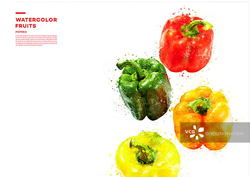 水彩蔬菜插画图片素材