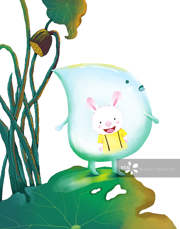 背景分离动物系列组图共3000多幅-站在荷叶上的小水滴图片素材