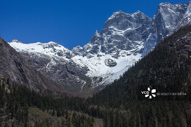 四姑娘山野人峰图片素材
