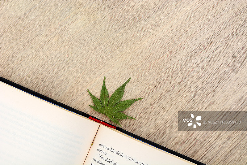 树叶书签图片素材