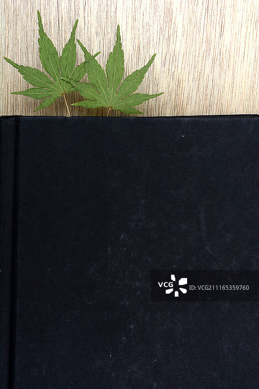 树叶书签图片素材