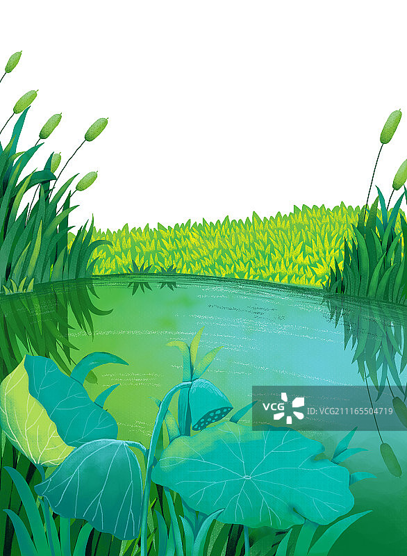 唯美背景元素组图共3000多幅--芦苇和荷花图片素材