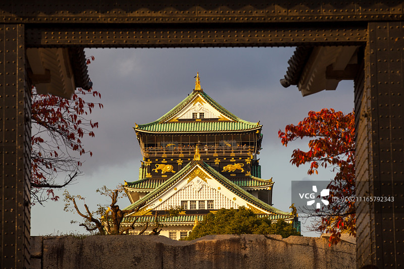 日本红叶秋色图片素材