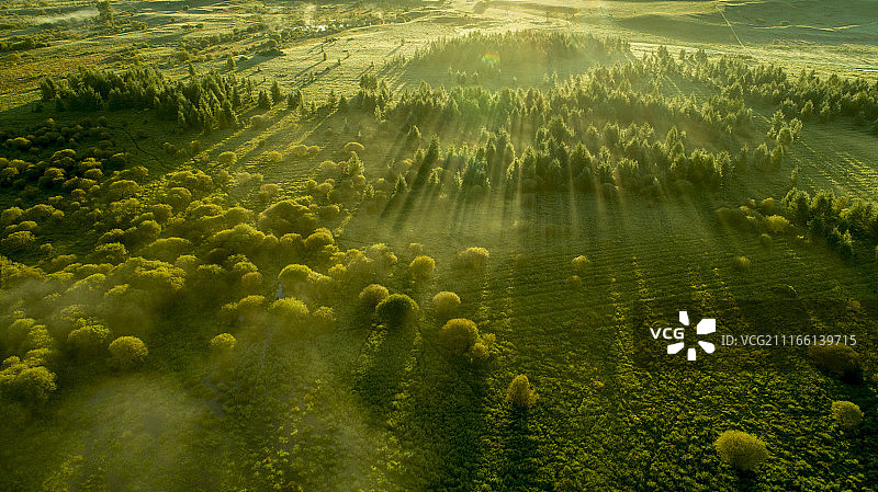 梦幻乌兰布统草原图片素材