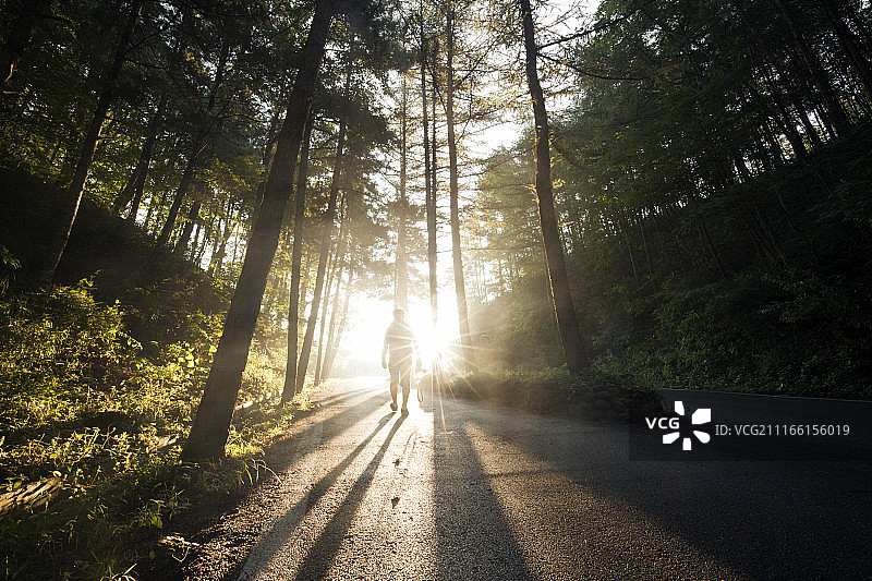 逆光前行图片素材