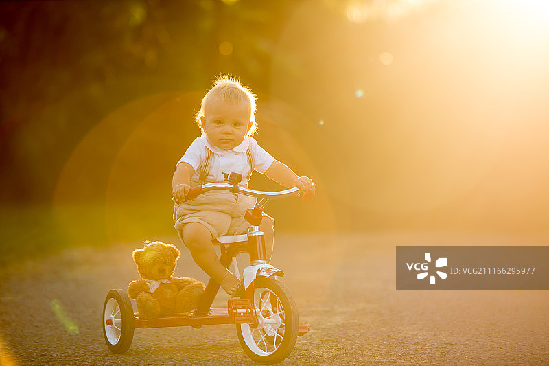 夕阳下骑自行车的男婴图片素材