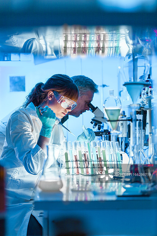 在实验室里研究图片素材