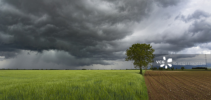 初次风暴图片素材