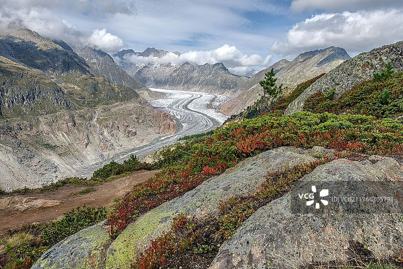 阿莱奇竞技场图片素材