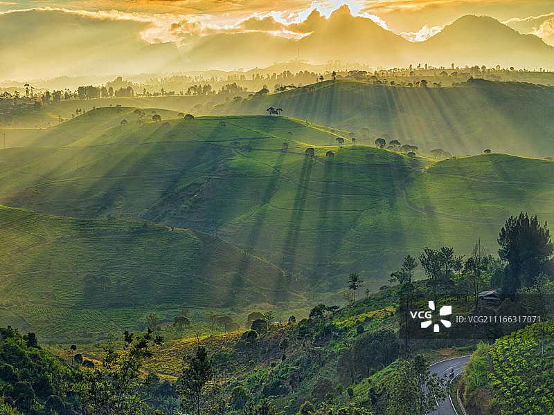 灿烂的阳光图片素材