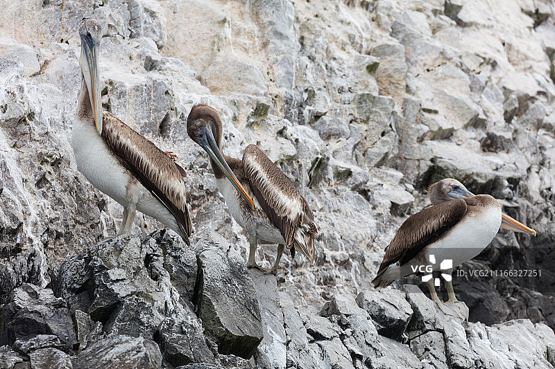 摄影师：Massimo Lama / 500px图片素材