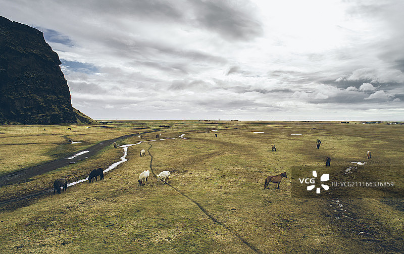冰岛绿色山丘全景航拍（含马匹）图片素材
