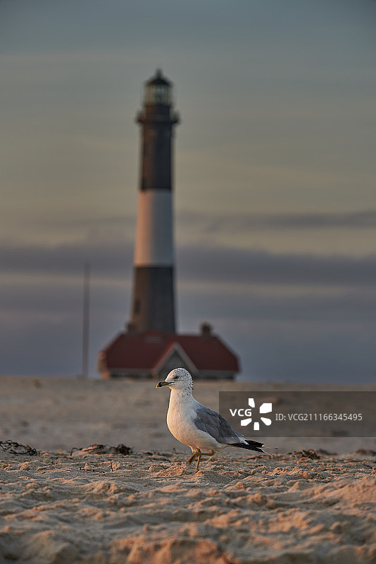 在聚光灯下图片素材