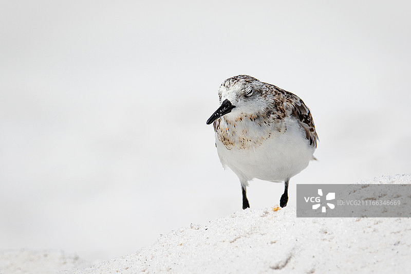 摄影图像图片素材