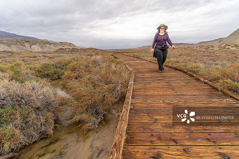 贫瘠环境中的木制小路图片素材