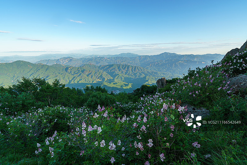 百花山图片素材
