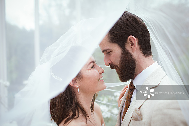 面纱下的新娘和新郎图片素材