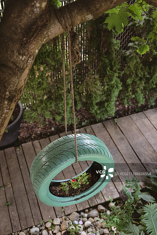 挂在树枝上的轮胎图片素材