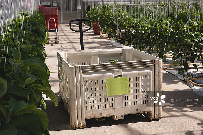 温室内部图片素材