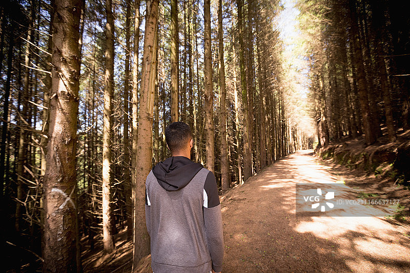 男子站在森林道路上的背影图片素材
