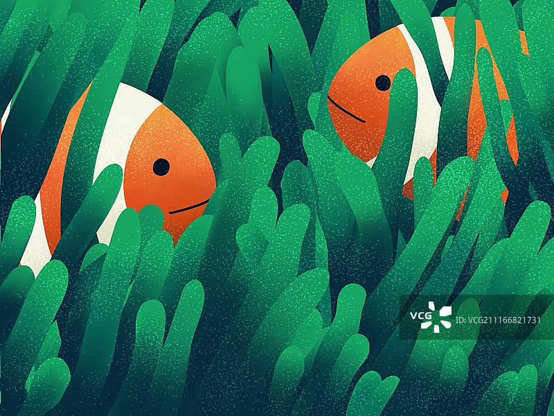 小丑鱼图片素材