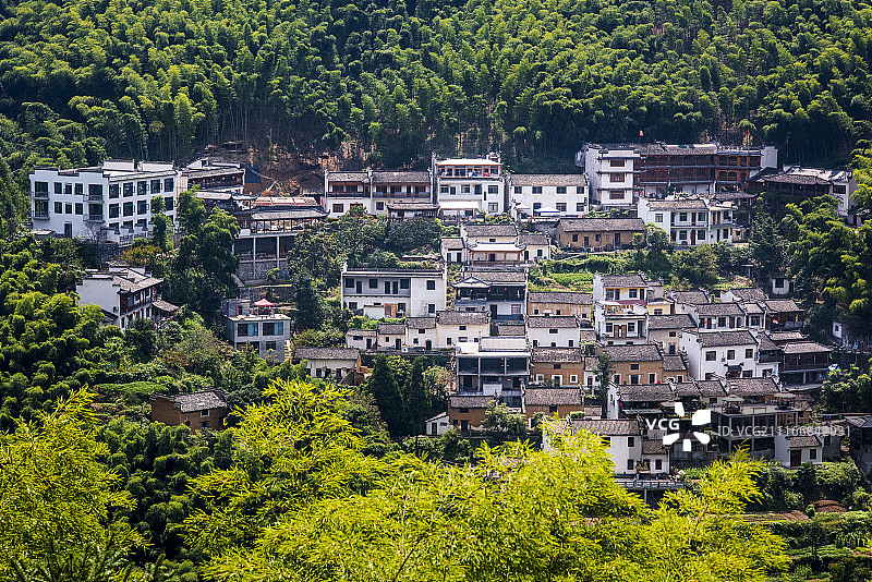 安徽木坑竹海图片素材