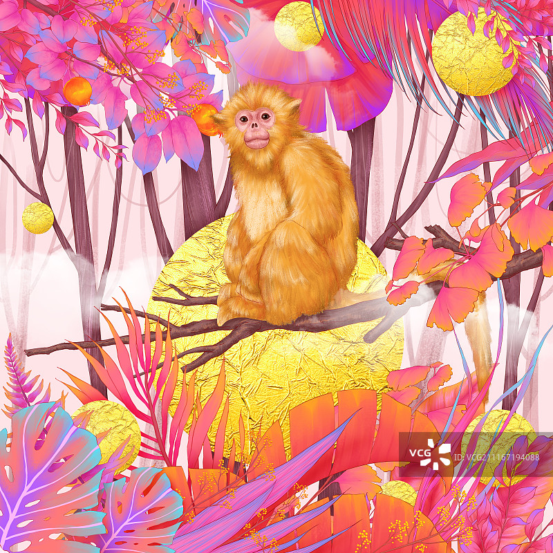 《动物王国》图片素材